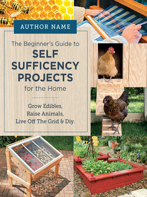 cover image of Beginner's Guide to Self Sufficiency Projects for the Home